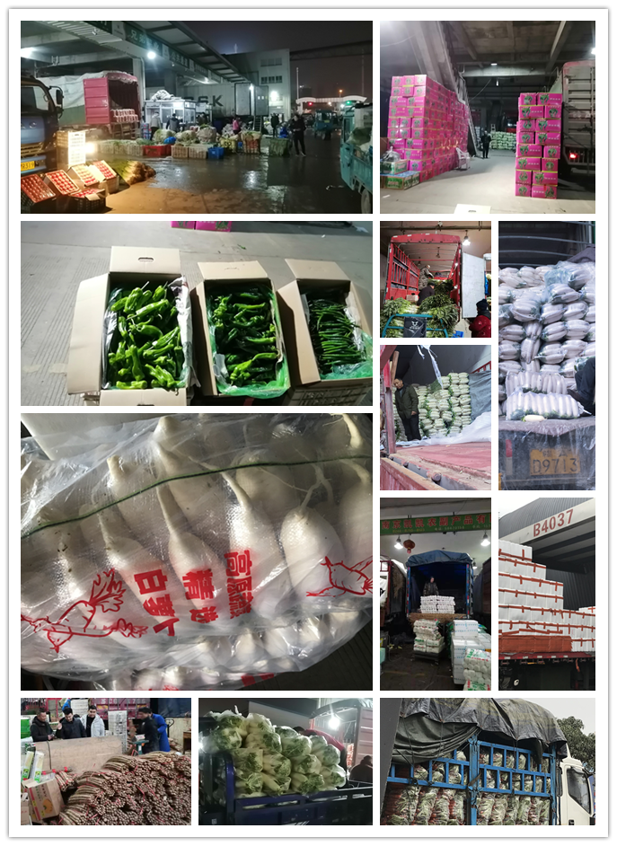 优发国际·随优而动一触即发