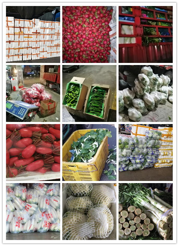 优发国际·随优而动一触即发