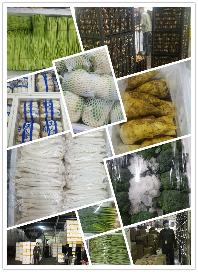 优发国际·随优而动一触即发