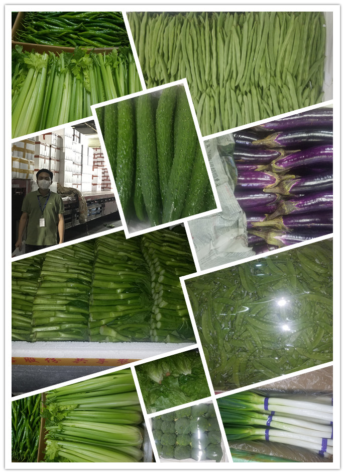 优发国际·随优而动一触即发