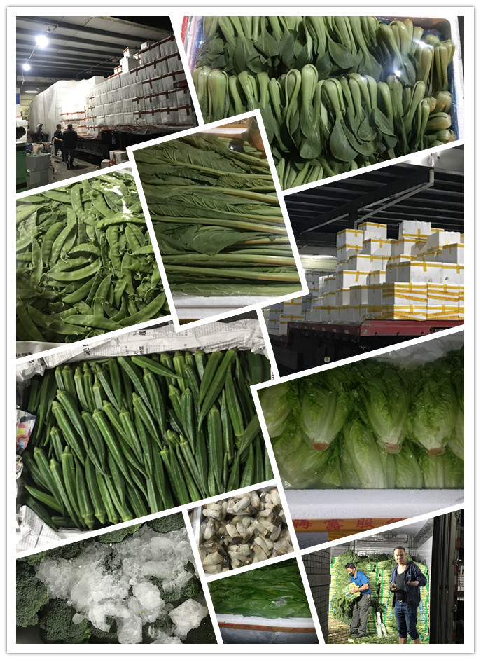 优发国际·随优而动一触即发