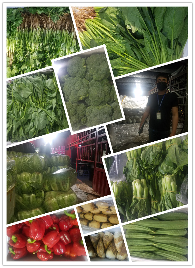 优发国际·随优而动一触即发