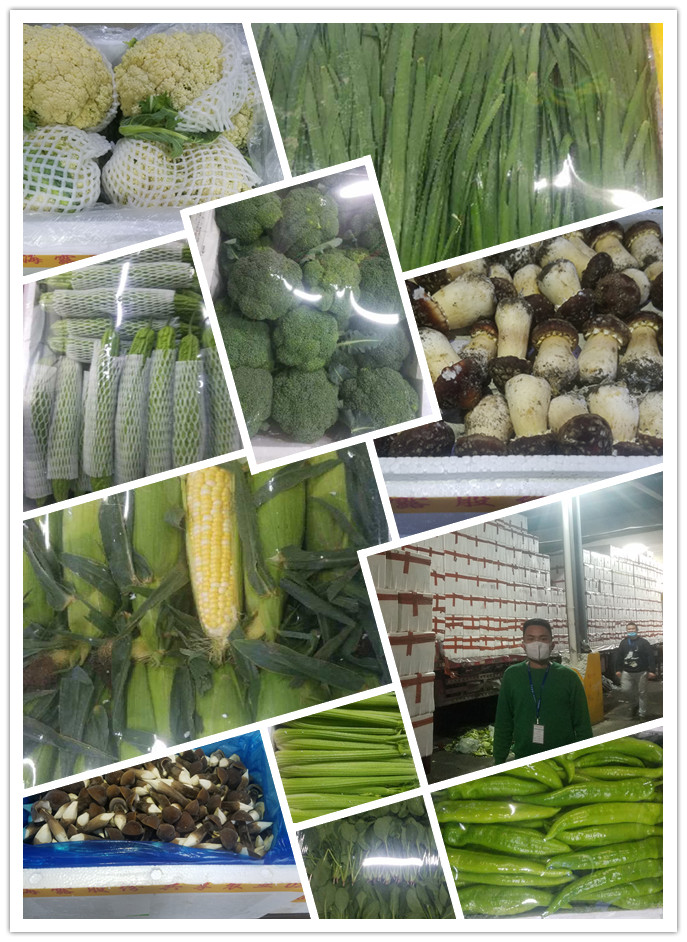 优发国际·随优而动一触即发