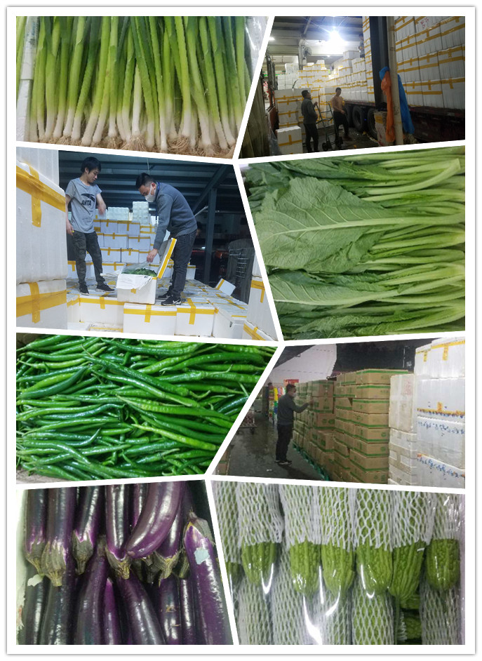 优发国际·随优而动一触即发