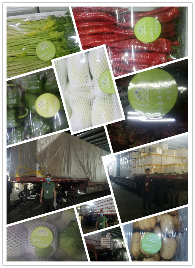 优发国际·随优而动一触即发