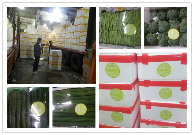 优发国际·随优而动一触即发