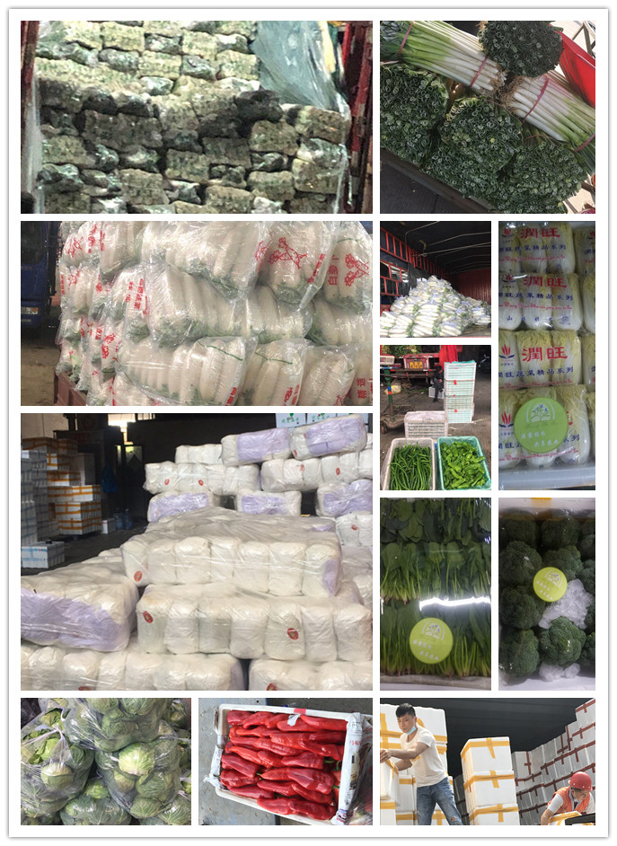 优发国际·随优而动一触即发