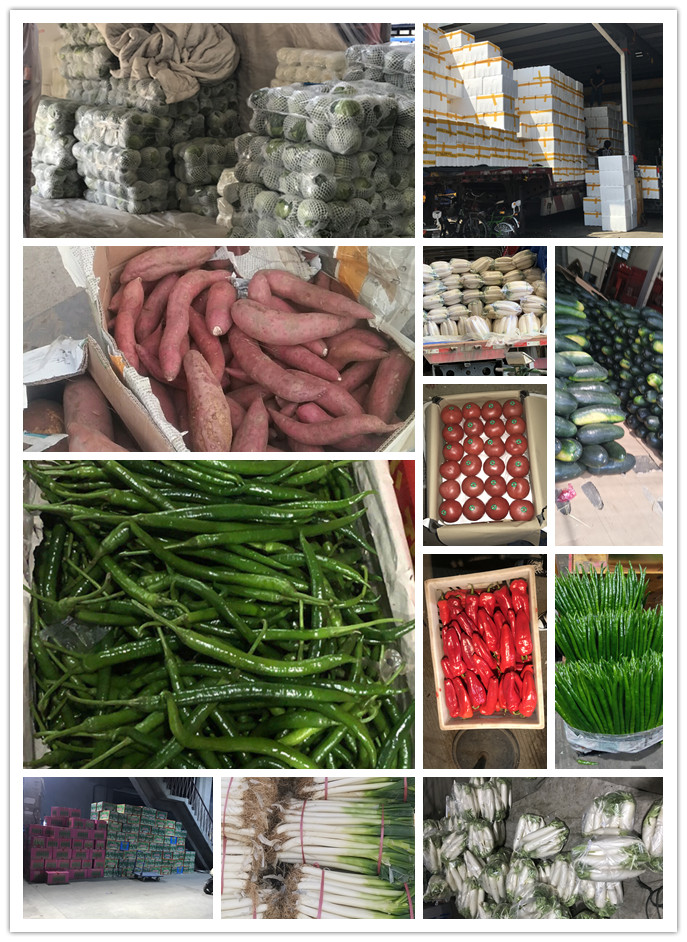 优发国际·随优而动一触即发