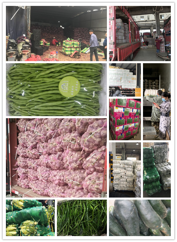 优发国际·随优而动一触即发