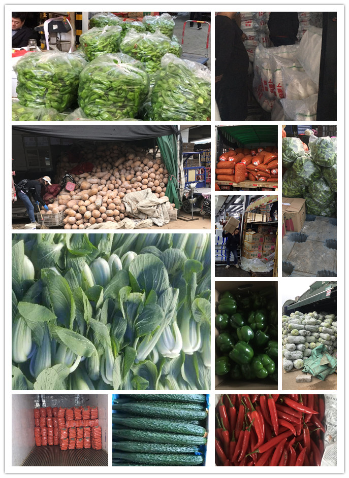 优发国际·随优而动一触即发