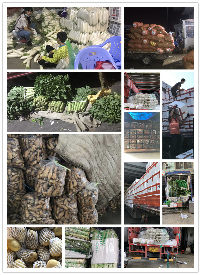 优发国际·随优而动一触即发