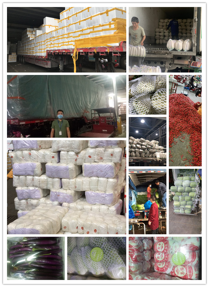 优发国际·随优而动一触即发