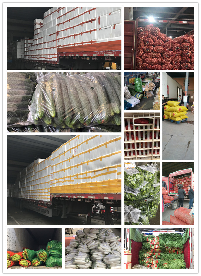 优发国际·随优而动一触即发