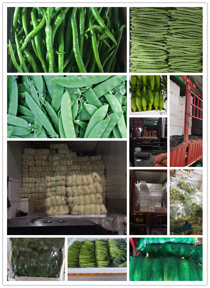 优发国际·随优而动一触即发