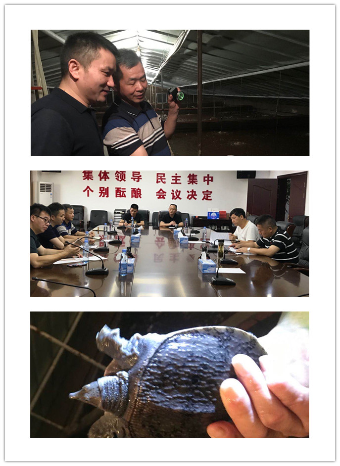 优发国际·随优而动一触即发