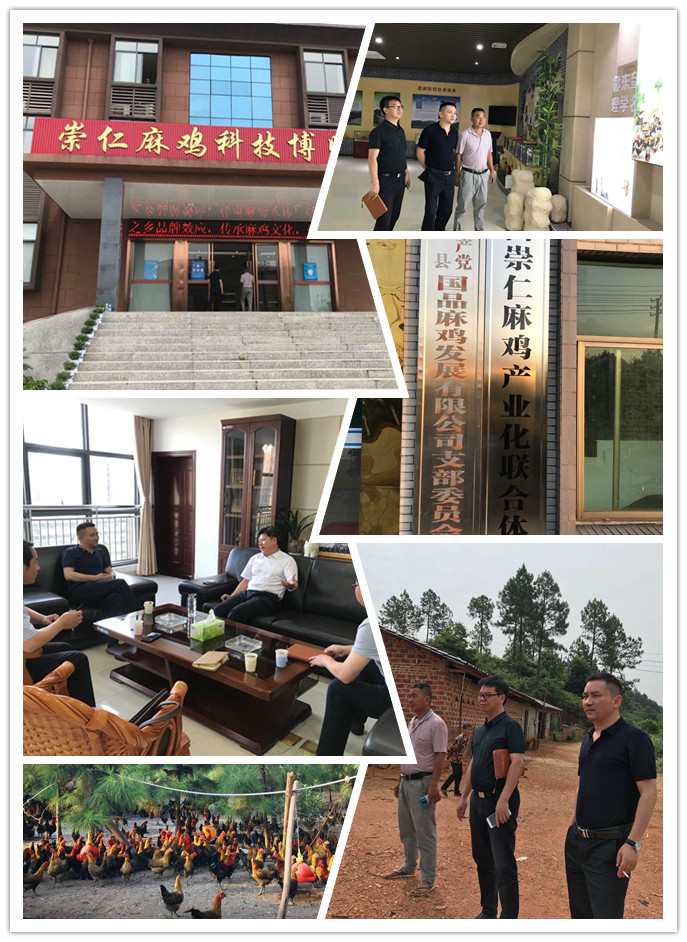 优发国际·随优而动一触即发