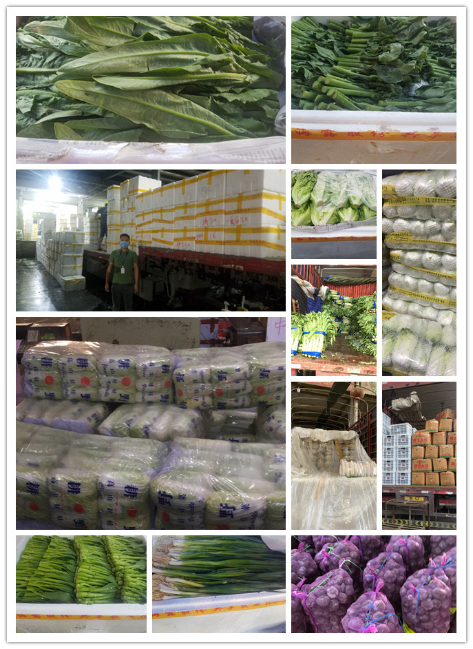 优发国际·随优而动一触即发