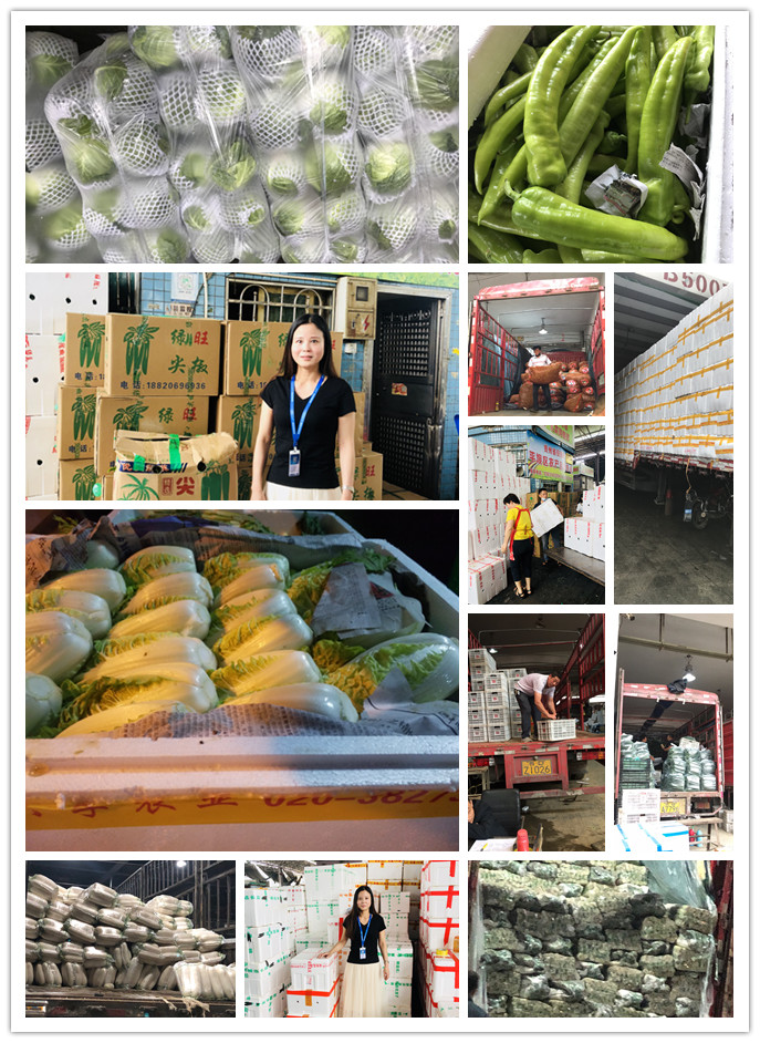 优发国际·随优而动一触即发