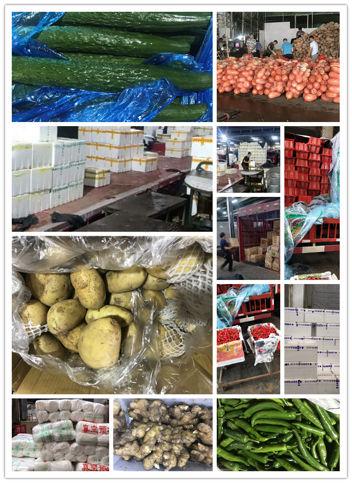 优发国际·随优而动一触即发