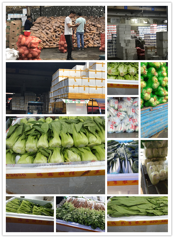 优发国际·随优而动一触即发