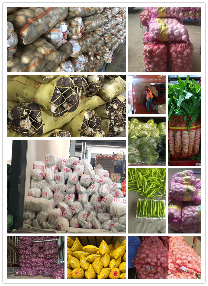 优发国际·随优而动一触即发