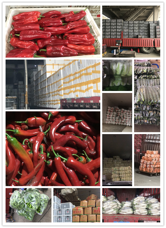 优发国际·随优而动一触即发