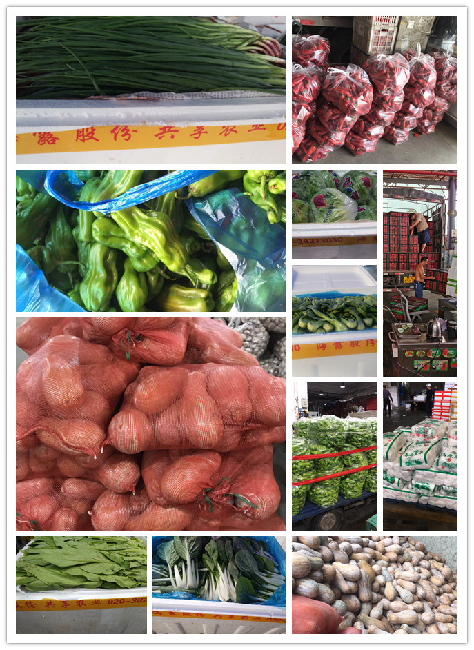 优发国际·随优而动一触即发