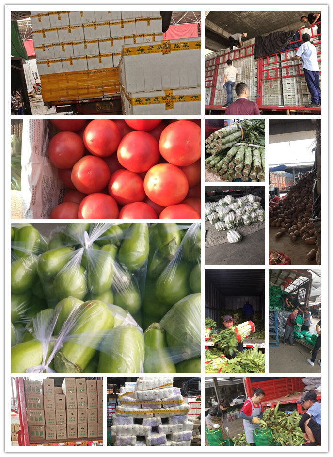 优发国际·随优而动一触即发