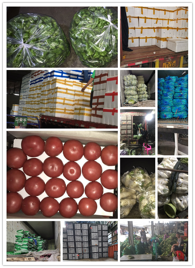 优发国际·随优而动一触即发