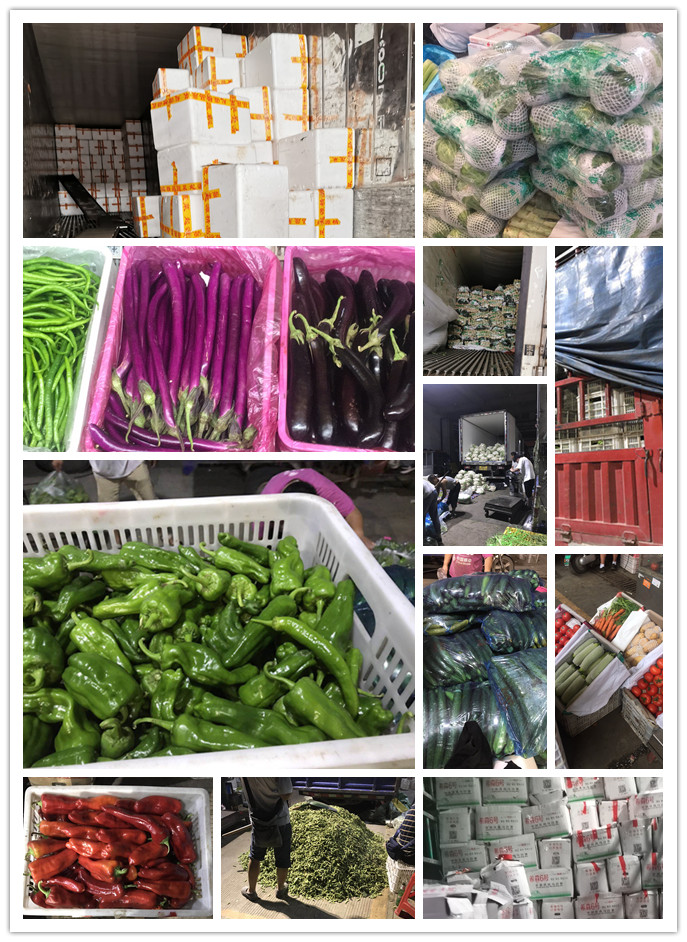 优发国际·随优而动一触即发