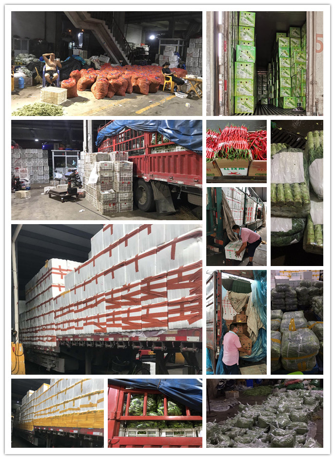 优发国际·随优而动一触即发