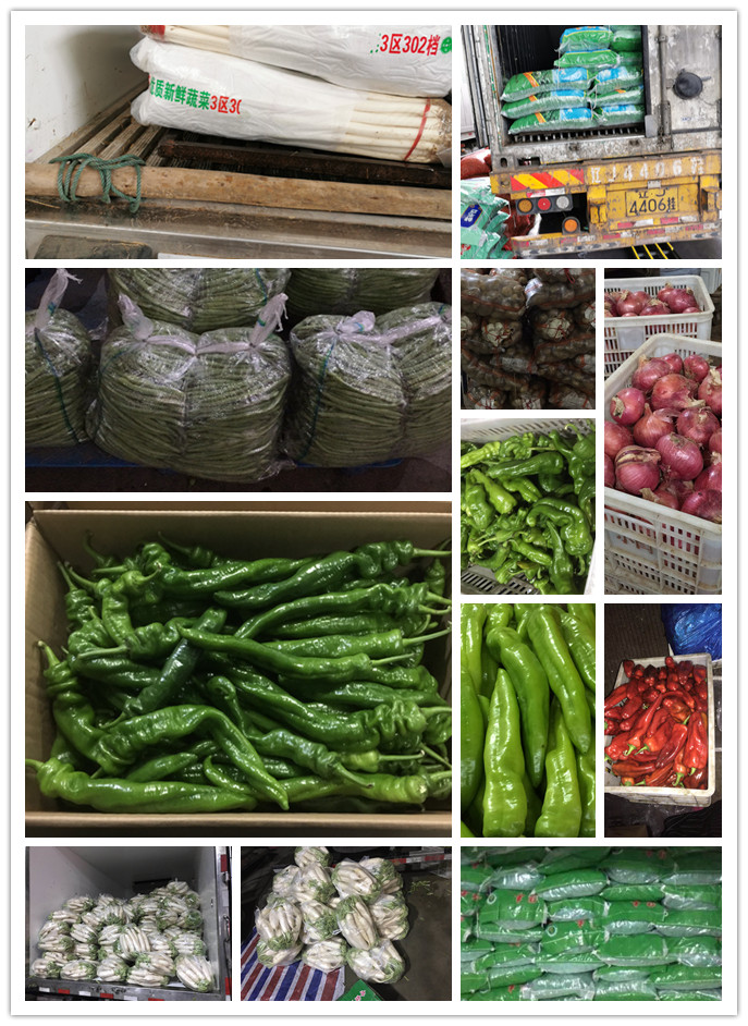 优发国际·随优而动一触即发