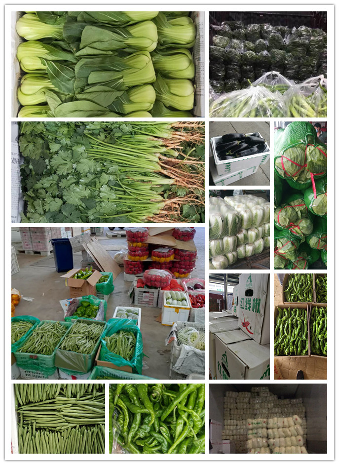 优发国际·随优而动一触即发