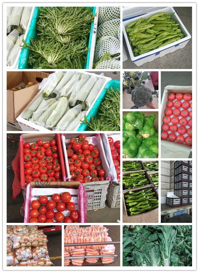 优发国际·随优而动一触即发