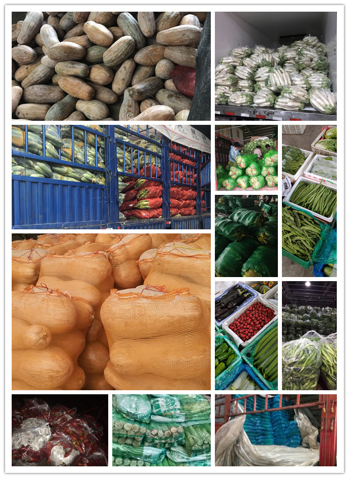 优发国际·随优而动一触即发