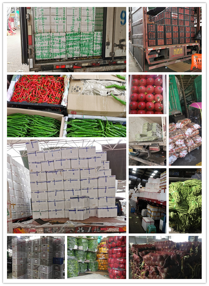 优发国际·随优而动一触即发