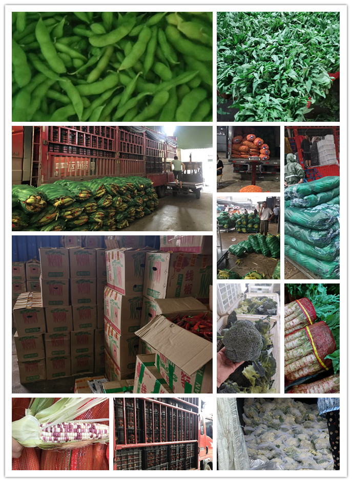 优发国际·随优而动一触即发