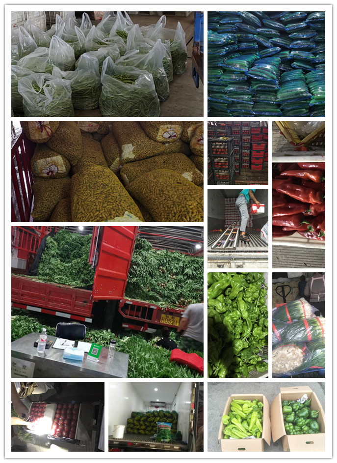 优发国际·随优而动一触即发