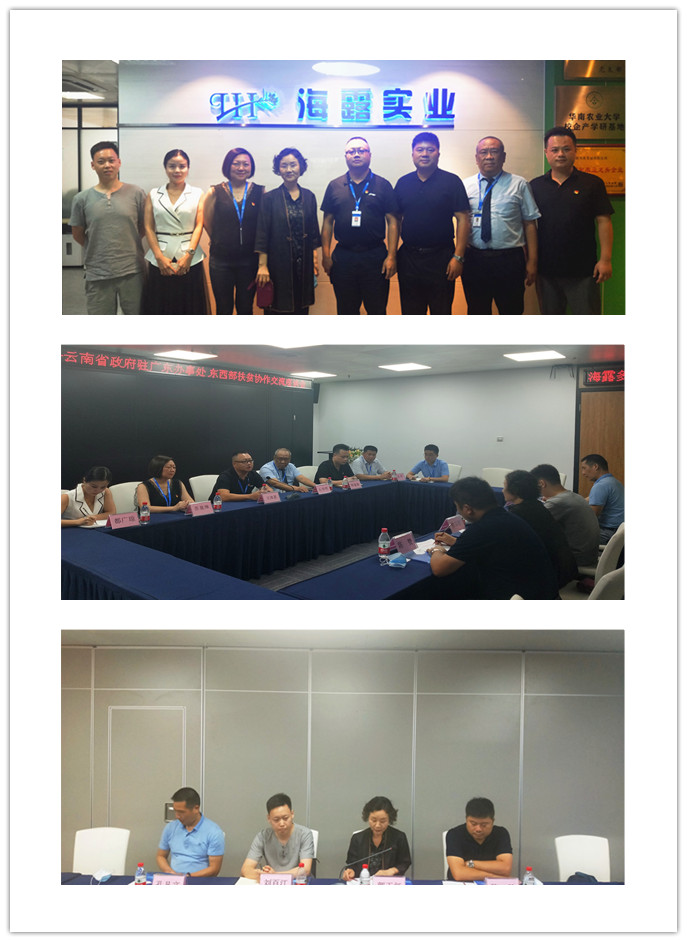 优发国际·随优而动一触即发