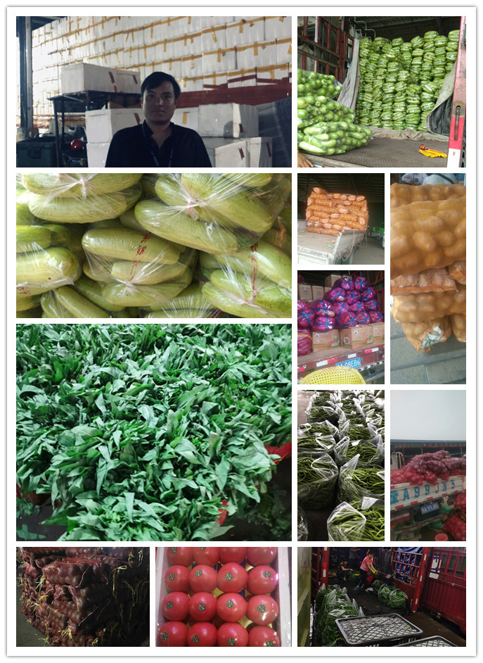 优发国际·随优而动一触即发