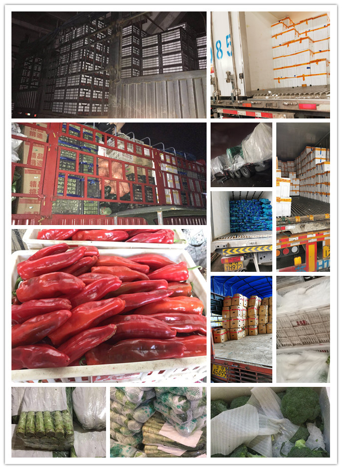 优发国际·随优而动一触即发