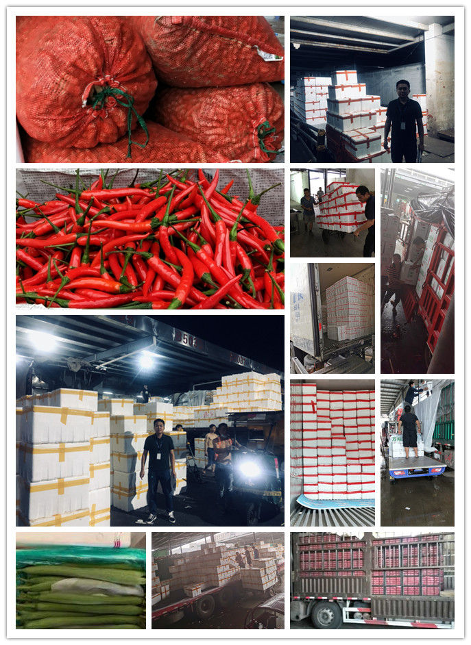 优发国际·随优而动一触即发