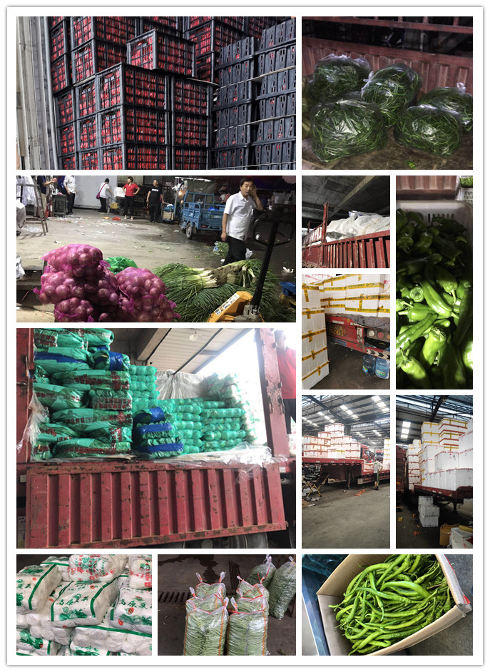 优发国际·随优而动一触即发