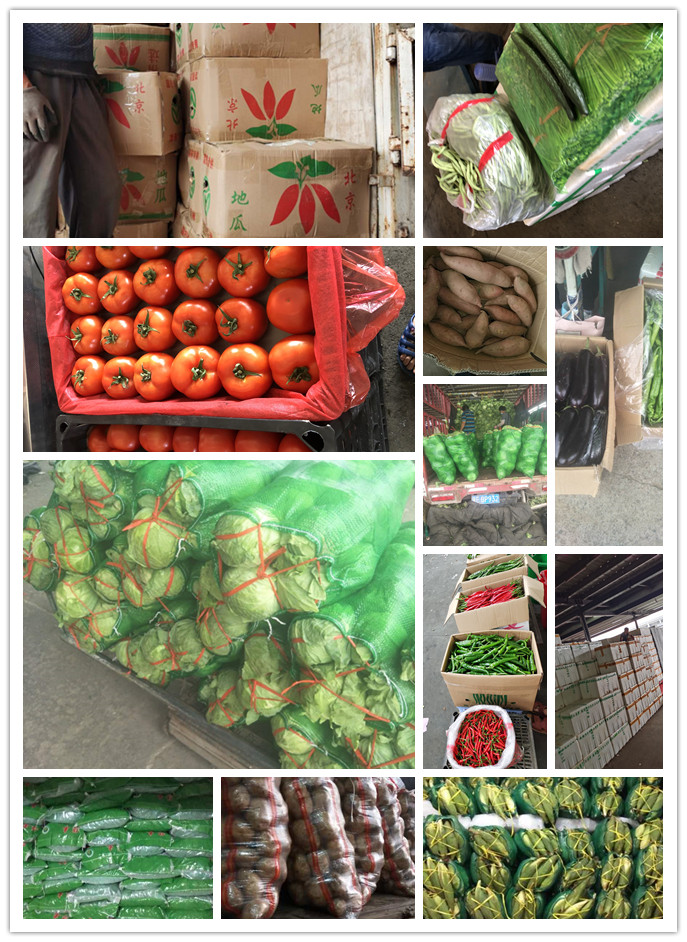 优发国际·随优而动一触即发