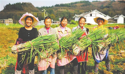 优发国际·随优而动一触即发