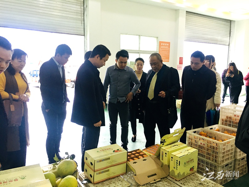 优发国际·随优而动一触即发