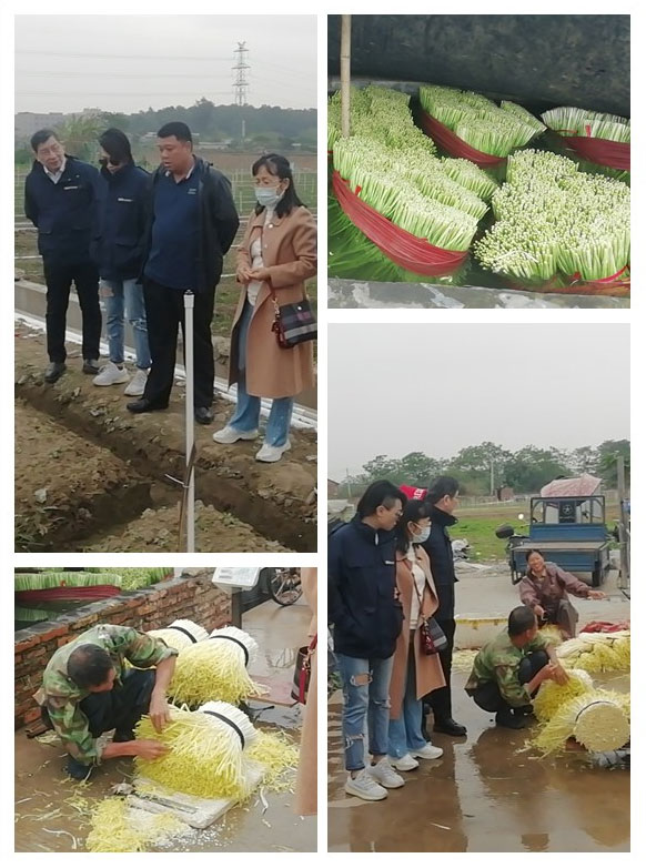 优发国际·随优而动一触即发