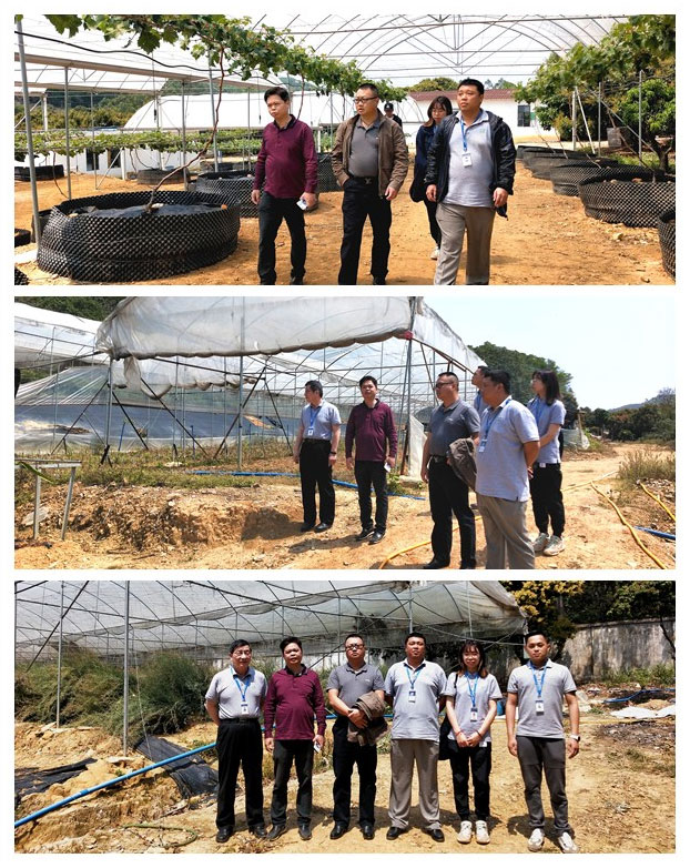 优发国际·随优而动一触即发