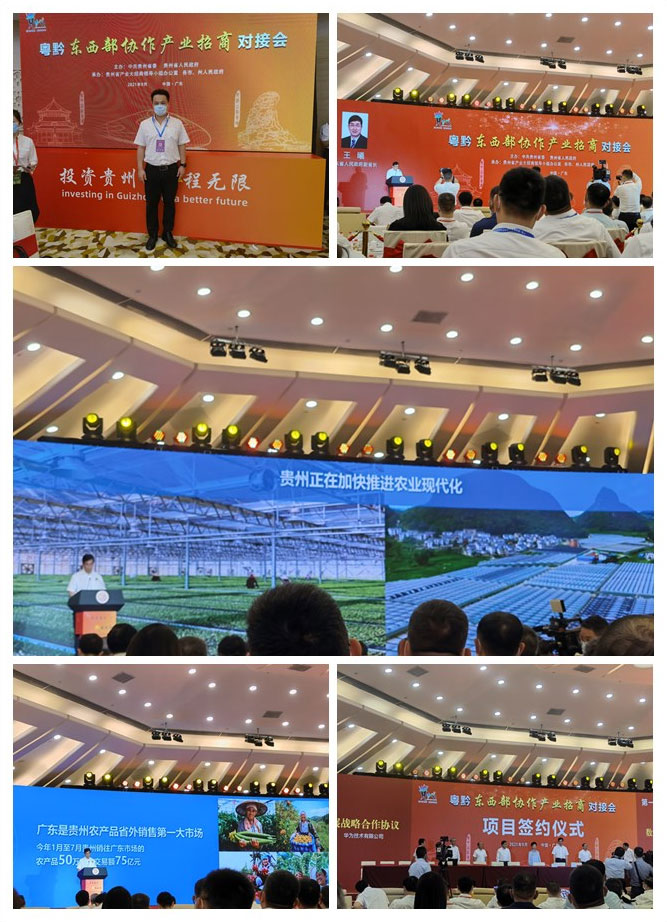 优发国际·随优而动一触即发