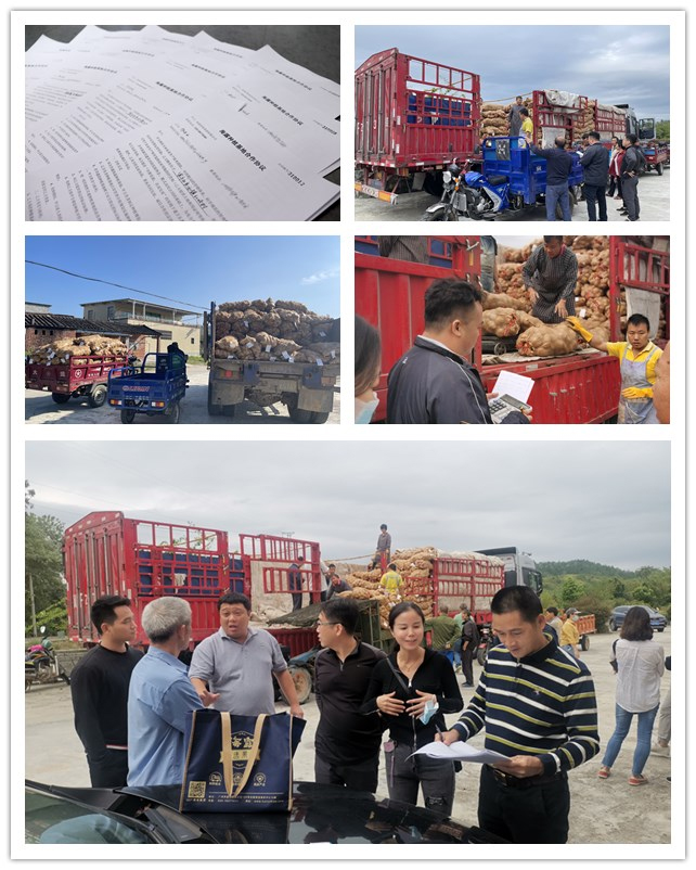 优发国际·随优而动一触即发